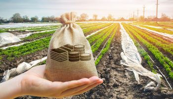 Crédito do agro cresce 22,6% e soma R$ 1,4 trilhão em setembro, diz Mapa