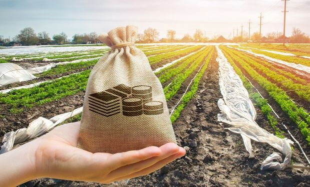 Crédito do agro cresce 22,6% e soma R$ 1,4 trilhão em setembro, diz Mapa