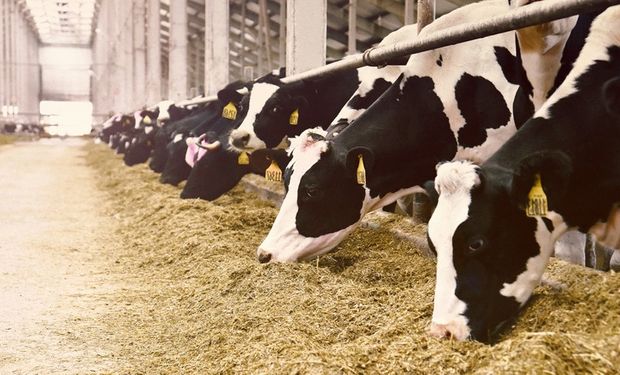 MS reduz ordenha de leite em 12% por altos custos de insumos, diz Famasul