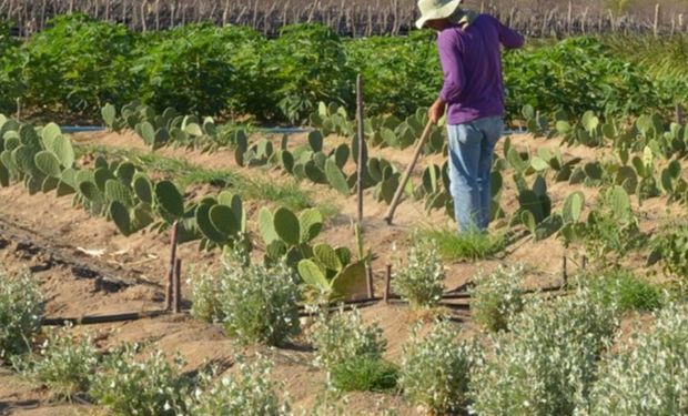 Governo destina área maior que a "terra prometida" - Israel - a índios e reforma agrária