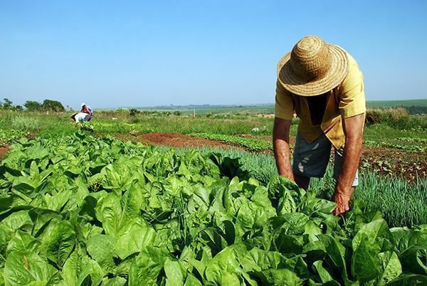 reforma_agraria