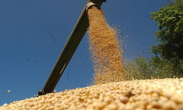 Tras comprar Monsanto, Bayer insistirá en el cobro de regalías en soja en el país. Foto: Archivo / MARIO GARCIA