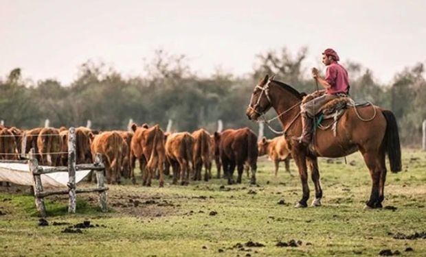 Ley de Trabajo Agrario.