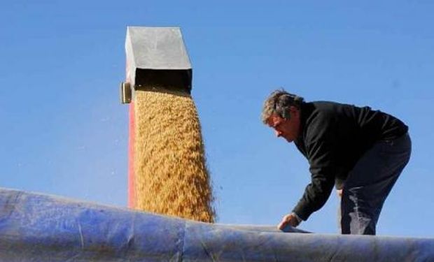 Este régimen les permite a los trabajadores de la actividad rural jubilarse anticipadamente.