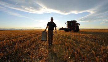 Régimen de trabajo agrario: fuentes de regulación y de obligaciones o relaciones jurídicas