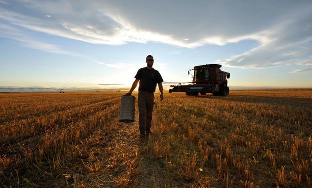 Régimen de Trabajo Agrario: fuentes de regulación y de obligaciones o relaciones jurídicas.