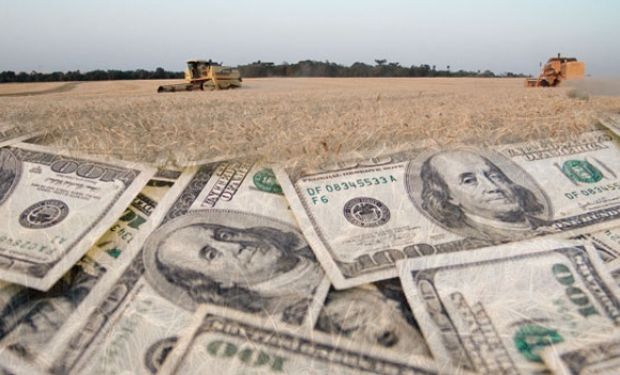 El BCRA estableció un régimen para que los dólares de cerealeras duren hasta febrero. Foto: Cronista Comercial