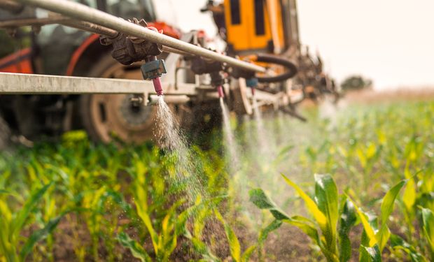 Registro de agrotóxico será priorizado por relevância da praga 