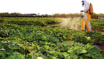 Governo de São Paulo simplifica registro de empresas de defensivos agrícolas