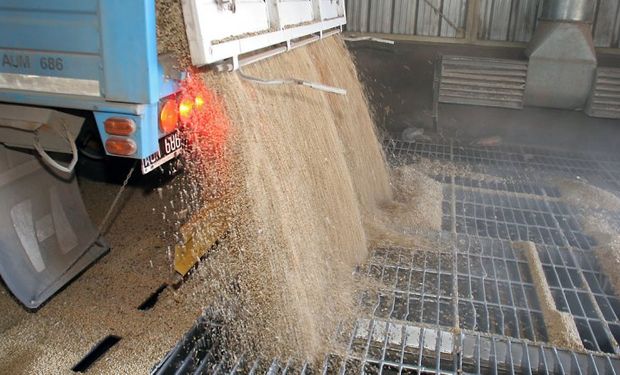 Temor al avance de la CNV sobre el mercado disponible de granos