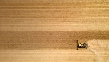 ¿Una nueva agricultura? La empresa que monitorea el 52% de la tierra cultivable del planeta y apuesta por la Argentina