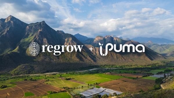 regrow puma