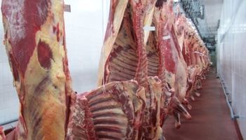 La producción de carne subió un 10,3% en 2013