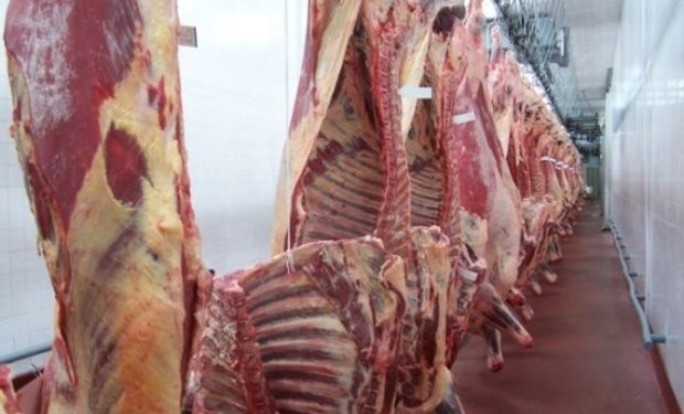 La producción de carne subió un 10,3% en 2013