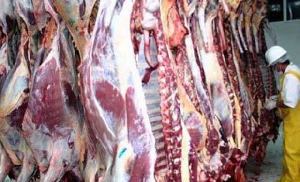 Paraguay volvió a exportar carne a Chile