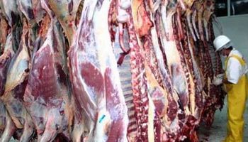 Paraguay quiere ser 5° exportador mundial de carne