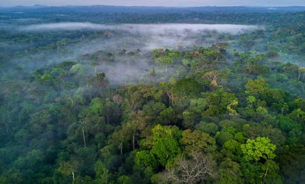 Governo institui o Plano Nacional de Regularização Ambiental