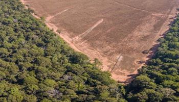 Senado vota nesta terça projeto que regulariza terras em faixas de fronteira