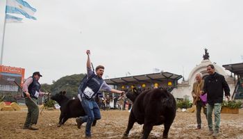 Angus: los precios máximos del remate que se acercó a los $70.000.000