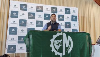 Con máximo de $2.800.000, los precios del remate de más de 200 reproductores Braford, Brangus y Brahman: en invernada se pagaron más de $1000 los terneros
