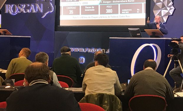 Rosgan ofertó más de 18 mil cabezas en un mercado que mostró a una oferta necesitada de venta