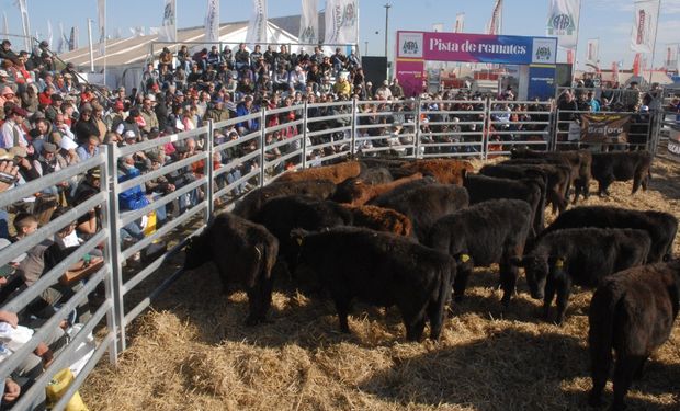 "Estamos muy contentos por poder llevar a cabo esta tarea en una muestra tan importante como lo es AgroActiva”, aseguró Ricardo Charles.