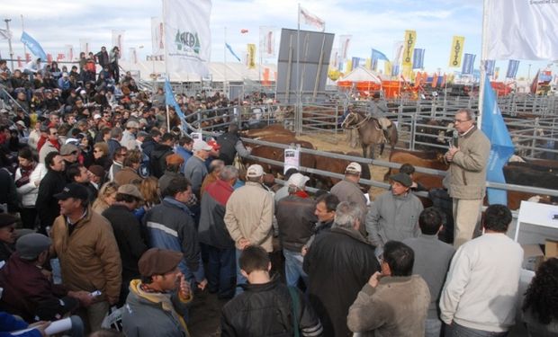 El espíritu de la Cooperativa es siempre estar al lado del productor y sobre todo de “sus” productores.