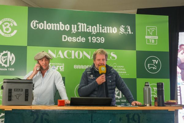 remate colombo y magliano
