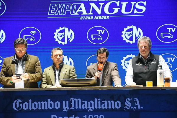 remate de colombo y magliano en expo angus
