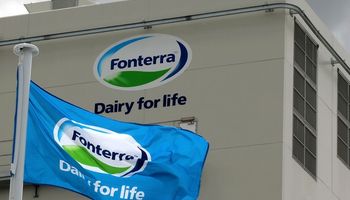 Primera subasta de Fonterra con suba en leche