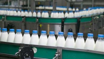 Nueva baja para los precios de los lácteos en Fonterra