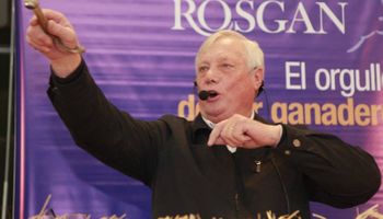 Más de 15.000 cabezas en la subasta de agosto de Rosgan