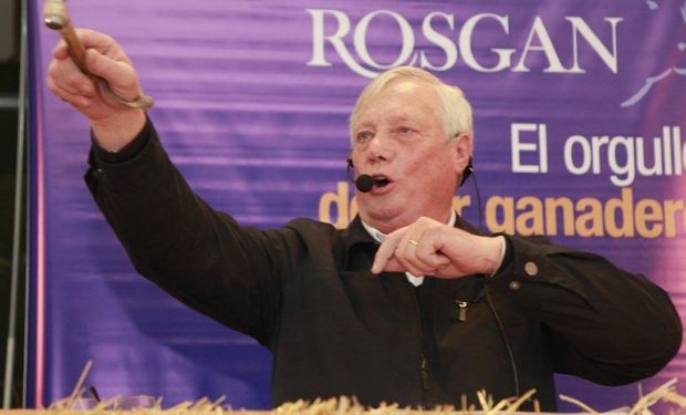 Más de 15.000 cabezas en la subasta de agosto de Rosgan