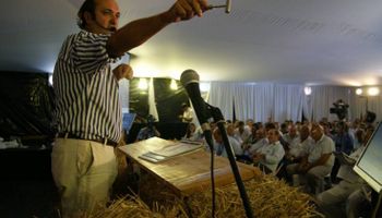 Subasta especial: Rosgan ofertará 14.527 cabezas en Expoagro