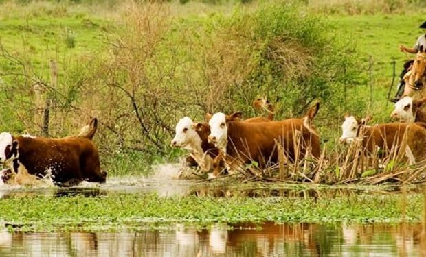 Remate de junio: lo que el agua se llevó