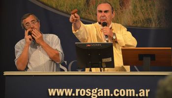 Perspectivas favorables tras primer remate de Rosgan