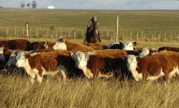 La gran expo ganadera del campo se desarrollará a partir del 23 de julio.