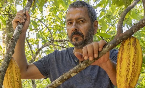 Marcos Palmeira será José Inocêncio, produtor de cacau no Sul da Bahia. (foto - divulgação)