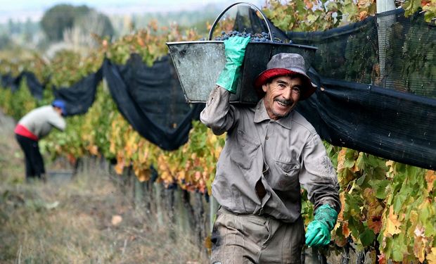 El RENATRE capacitó a más de 7700 trabajadores rurales, empleadores y productores en 2021