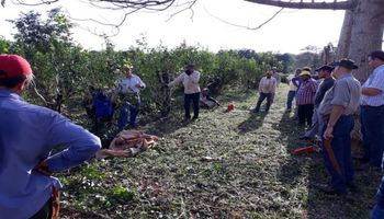 Nuevo plan de facilidades de pago del RENATRE para deudas