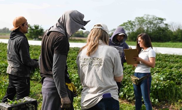 Se detectaron más de 50 trabajadores no registrados.