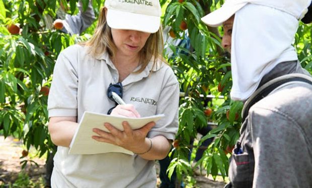 Renatre: detalles de la inscripción de los trabajadores rurales