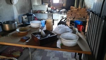 Explotación laboral y trabajo infantil en campo ganadero: "La situación con la que nos encontramos es muy dramática"