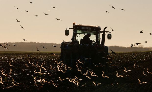 La Comisión Europea quiere reducir un 50% el uso de fitosanitarios y reconoce que habrá menores rendimientos