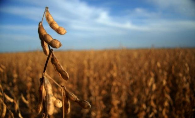 "Desafíos Tecnológicos del Cultivo de Soja Región a Región"