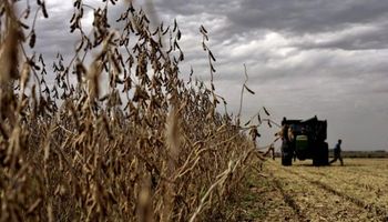 Sin precedentes: 93,5% de la renta agrícola se la lleva el Estado