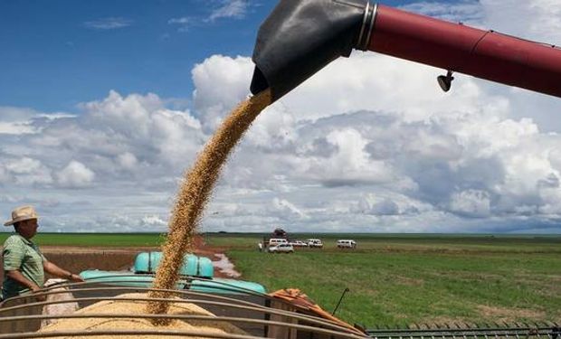 Hay que agregarle la caída del precio de grano en Chicago.