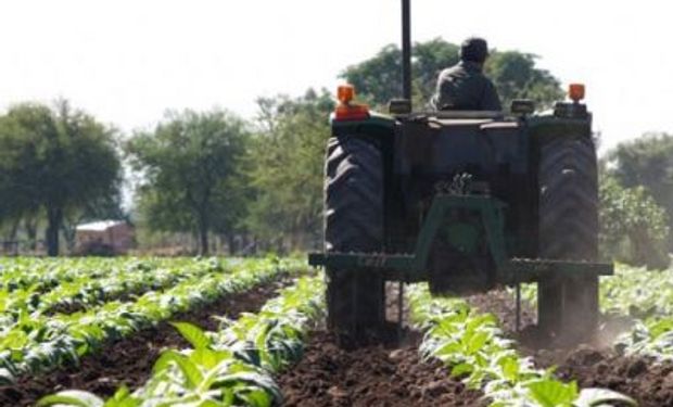 “La creación del Renatea es un triunfo para el trabajador rural”