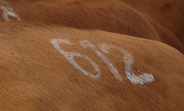 "Se operó con una flechita para arriba, en todas las categorías".