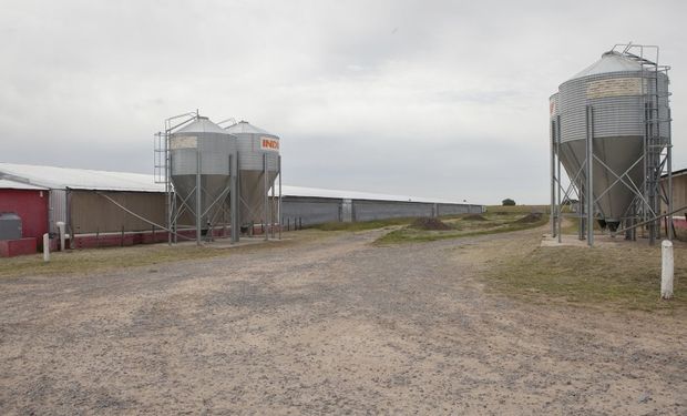 A partir del 1 de enero de 2017 los establecimientos de alimentos para animales deberán contar con un director técnico registrado.